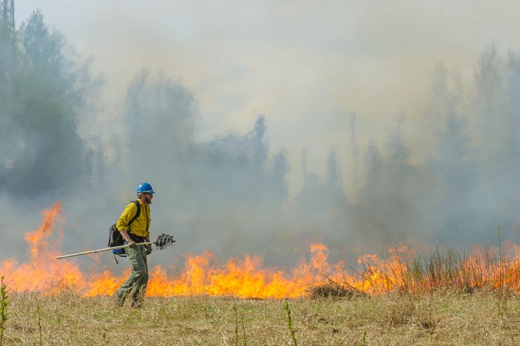 Cultural Burning