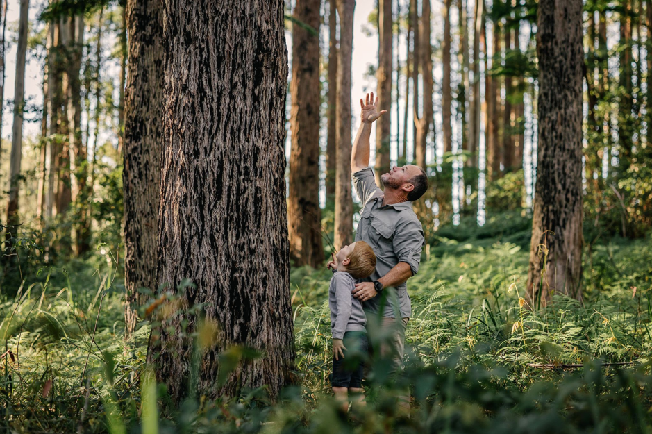 Sustainable Forestry Practices