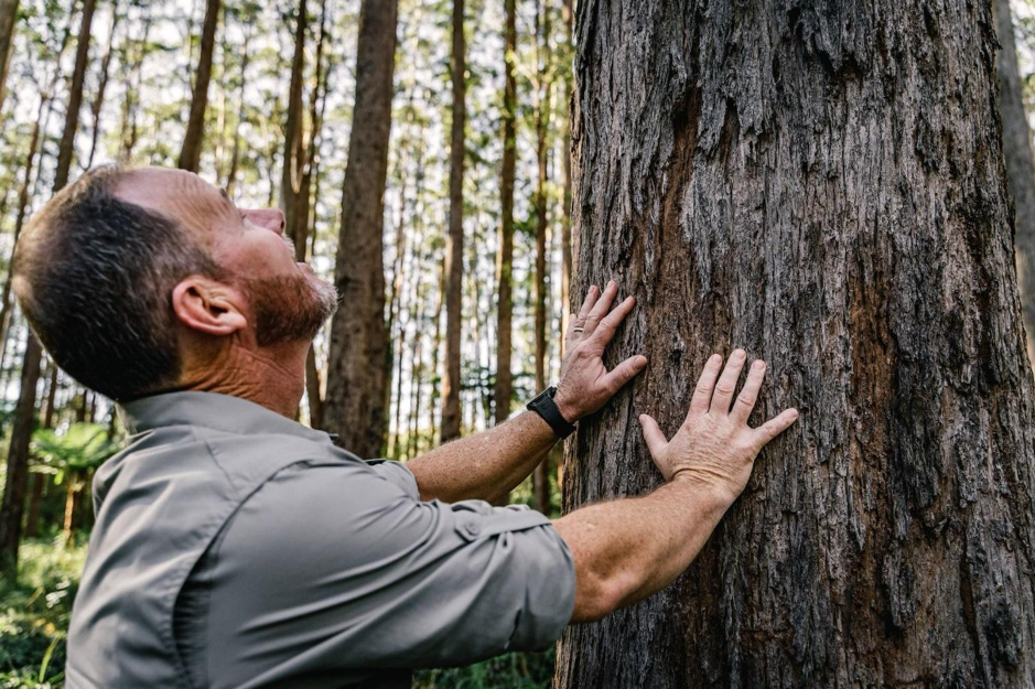 Sustainable Wood Resources