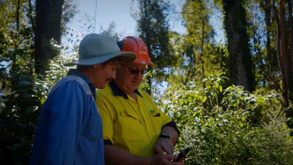 Two men assessing trees