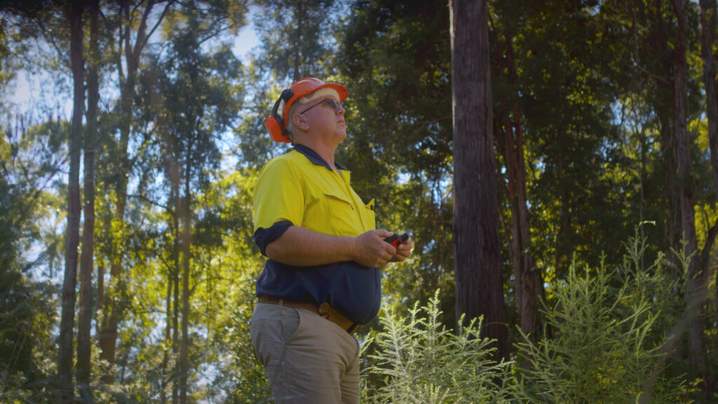 Monitored Austrailan Timber