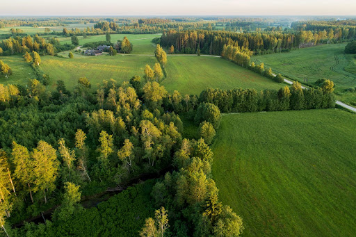 Mosaic Thinning of Private Native Forest 1