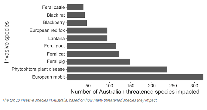 The top 10 invasive species in Australia, based on how man threatened species they impact. 