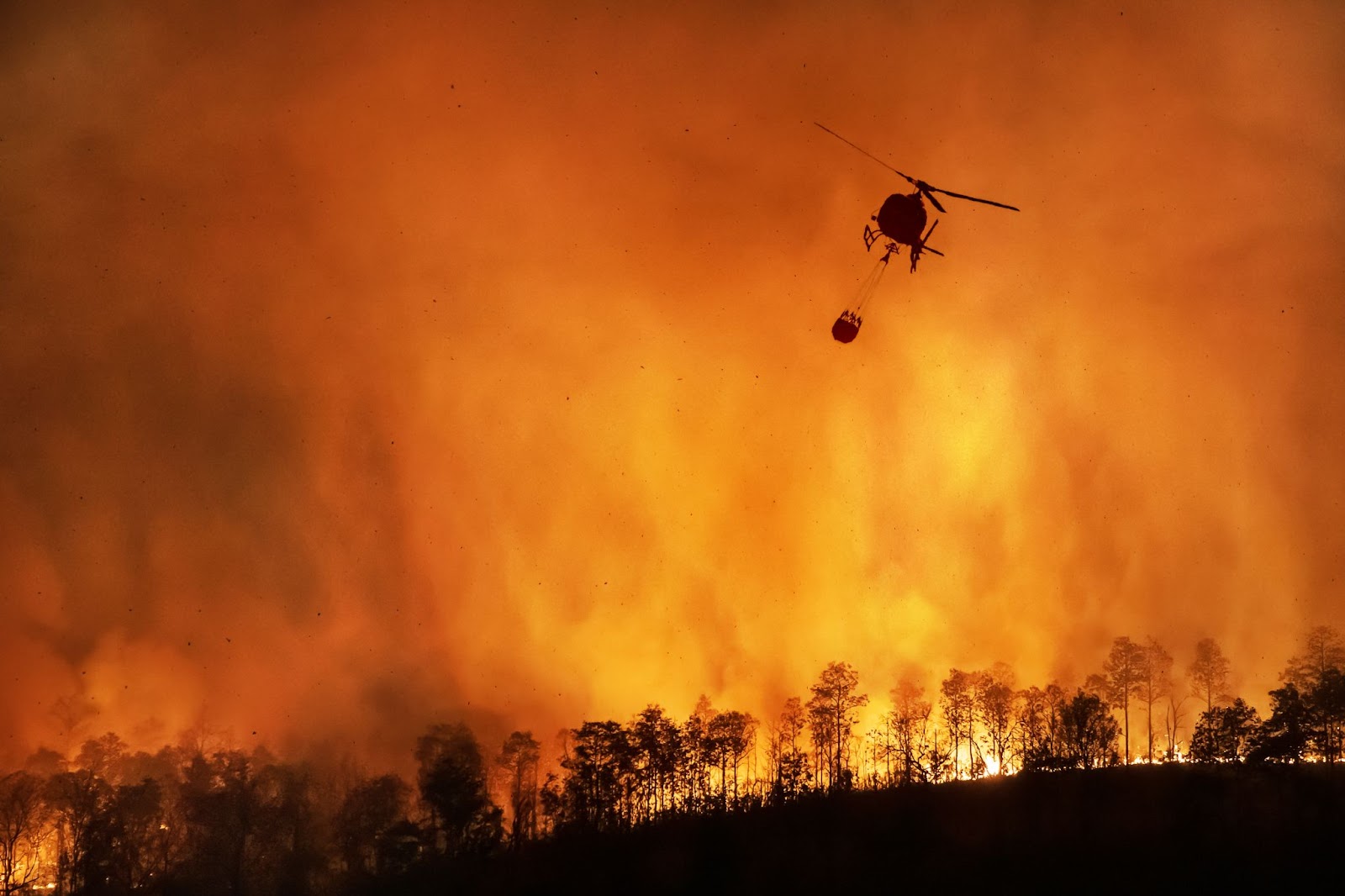 Devastating wildfires