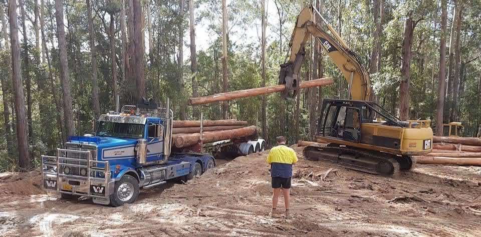 Excavator demonstrating a log grabs