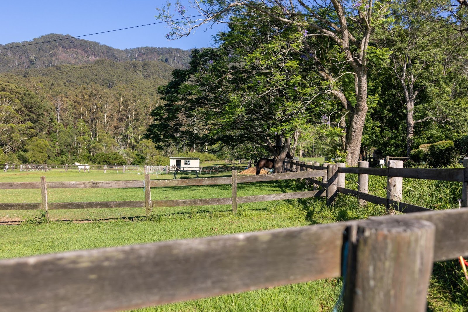 Wooden farming fences