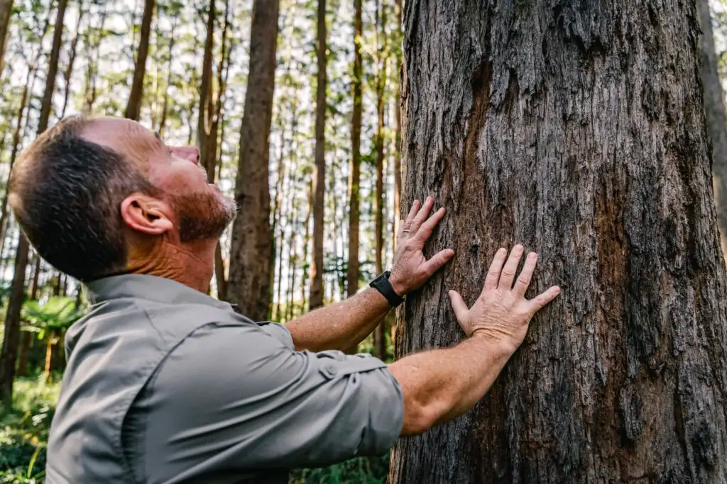 Man holding trunk of tree looking upwards