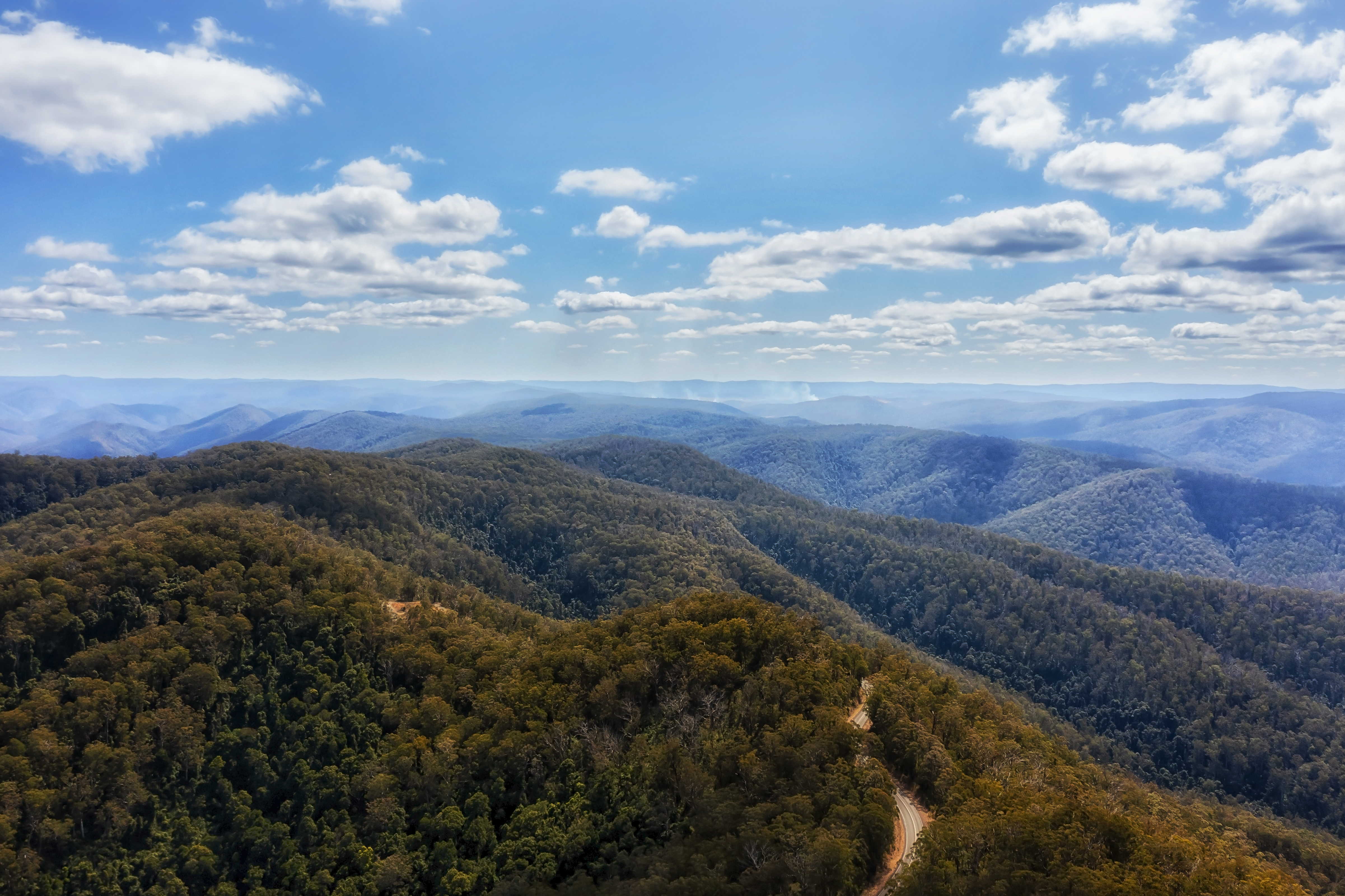 Are NSW State Forests Being Managed Sustainably?