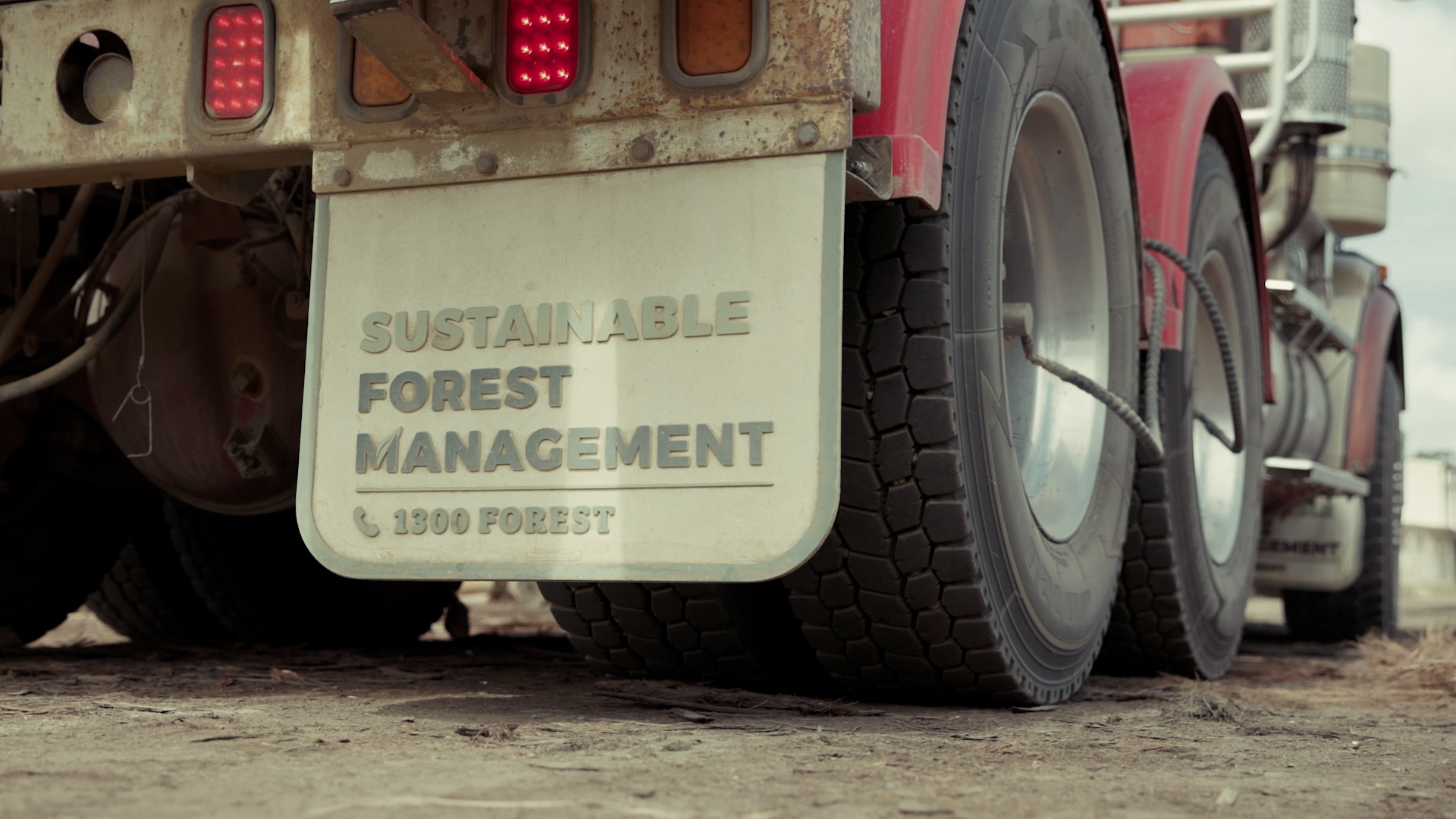 Sustainable Forest Management includes planning the operational logistics including haulage costs and transportation