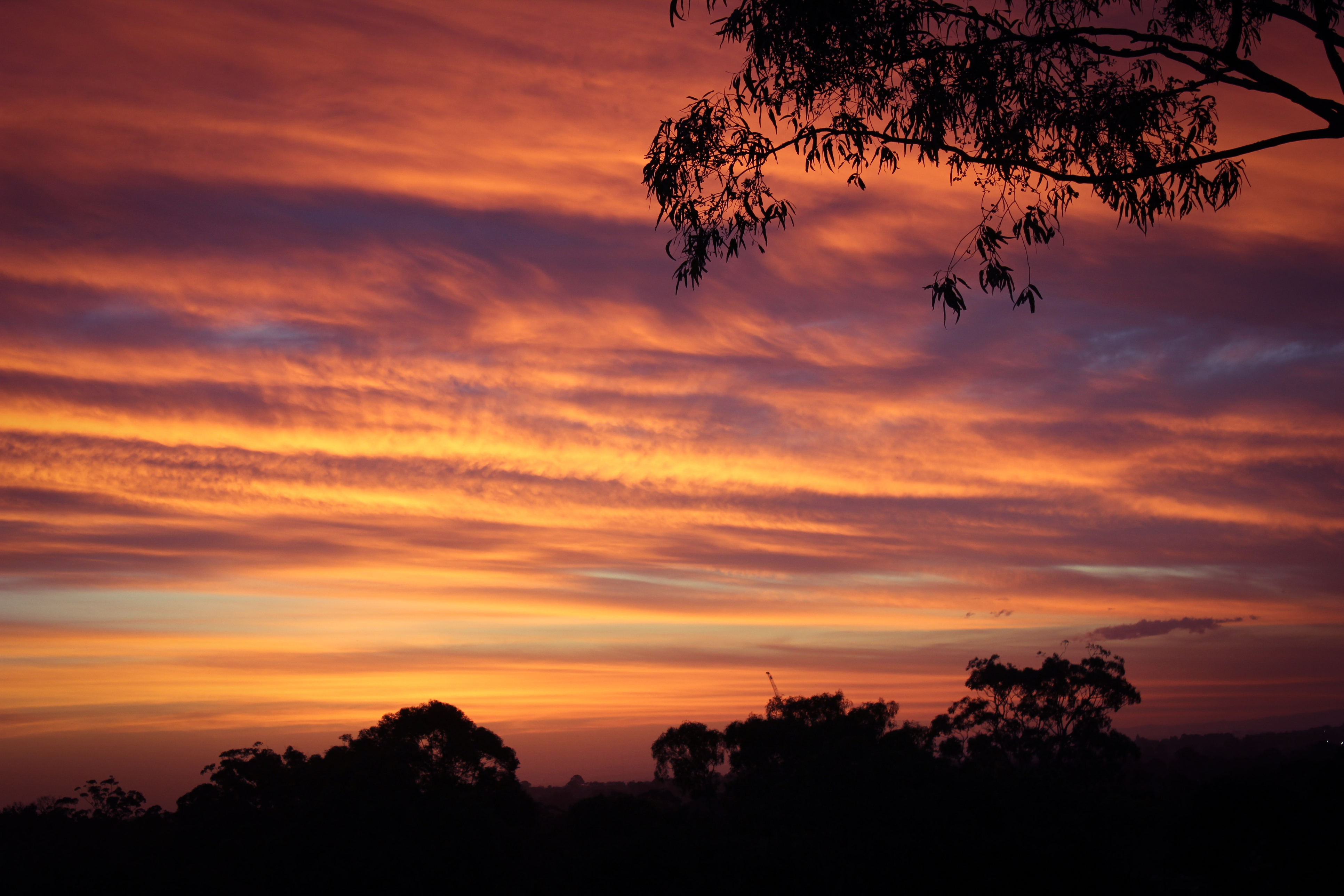 An amazing sunset over native forest makes for the perfect end to a productive day