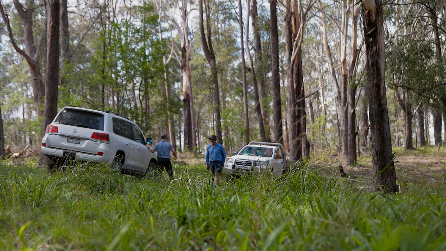 Private Native Forestry Code of Practice Compliance is a shared responsibility between the landholder and the private native forestry contractor