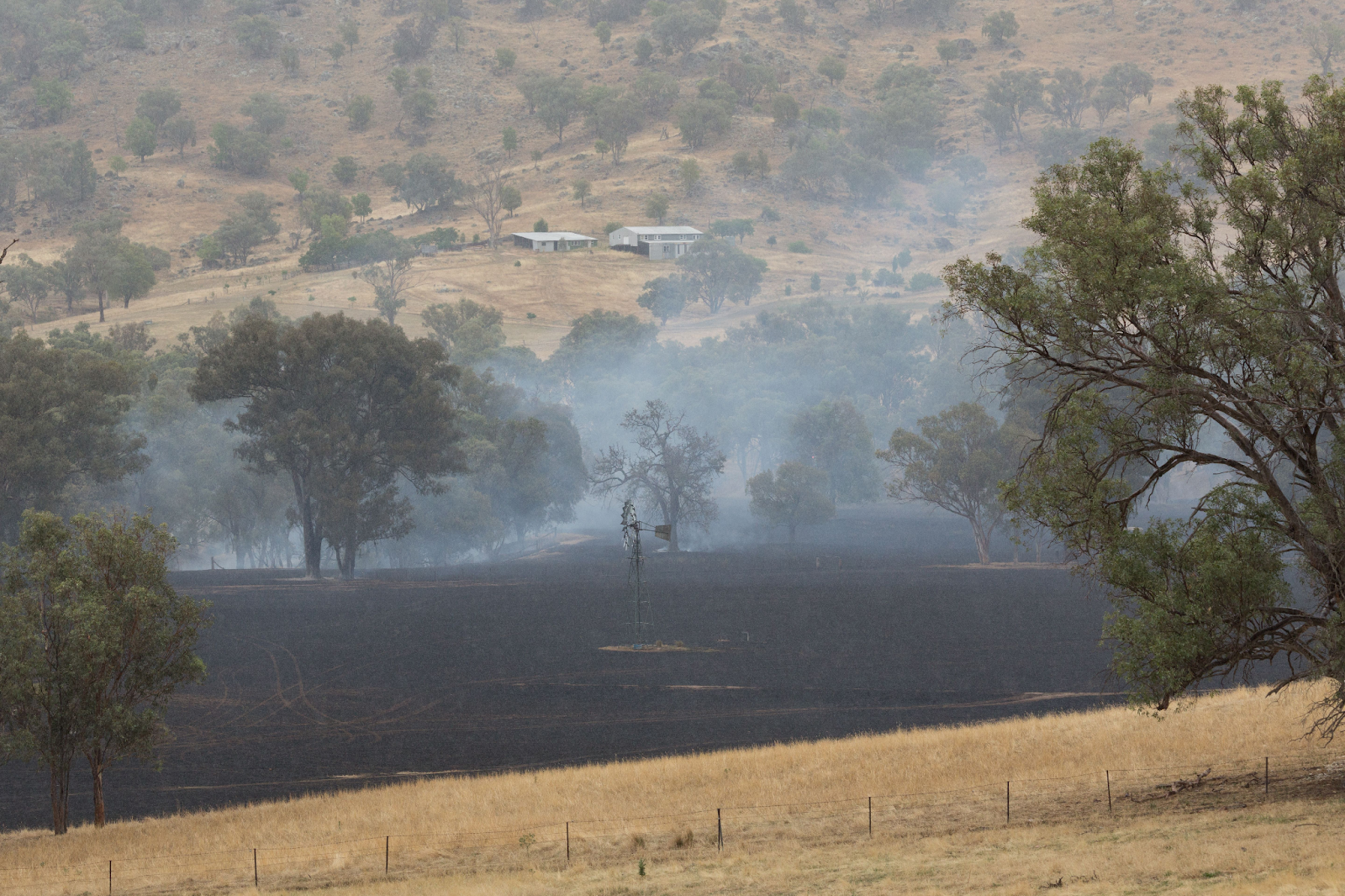 burnt farm land