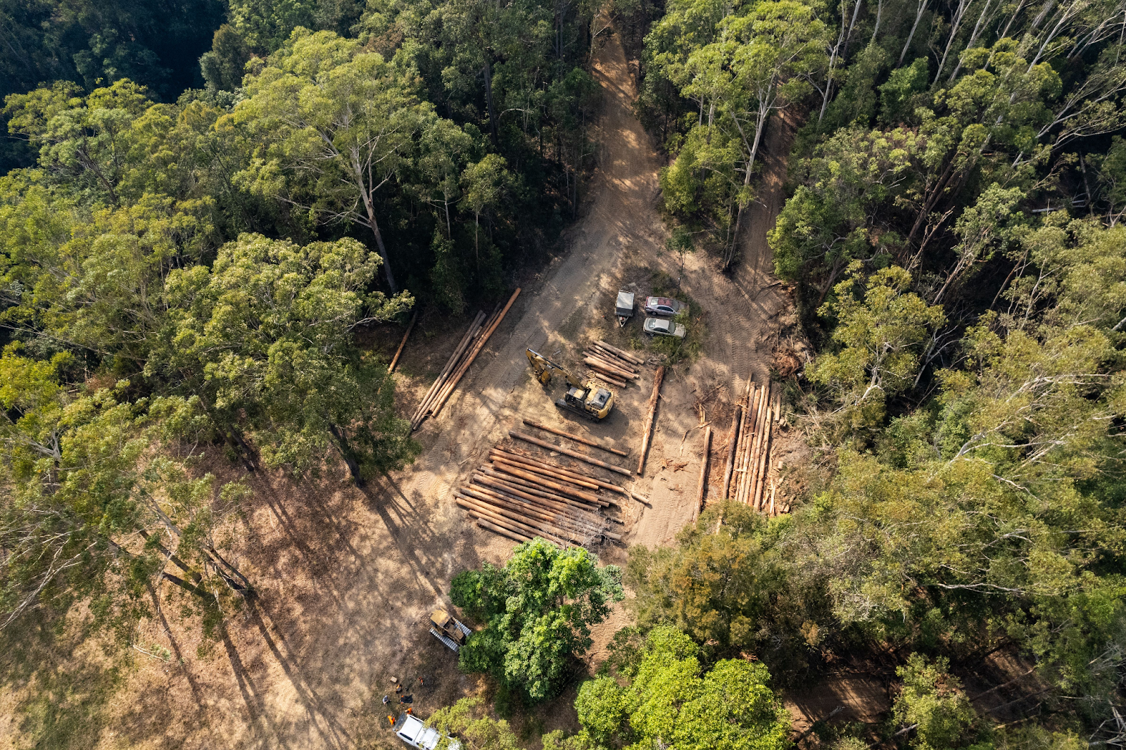 arial view of logged forest