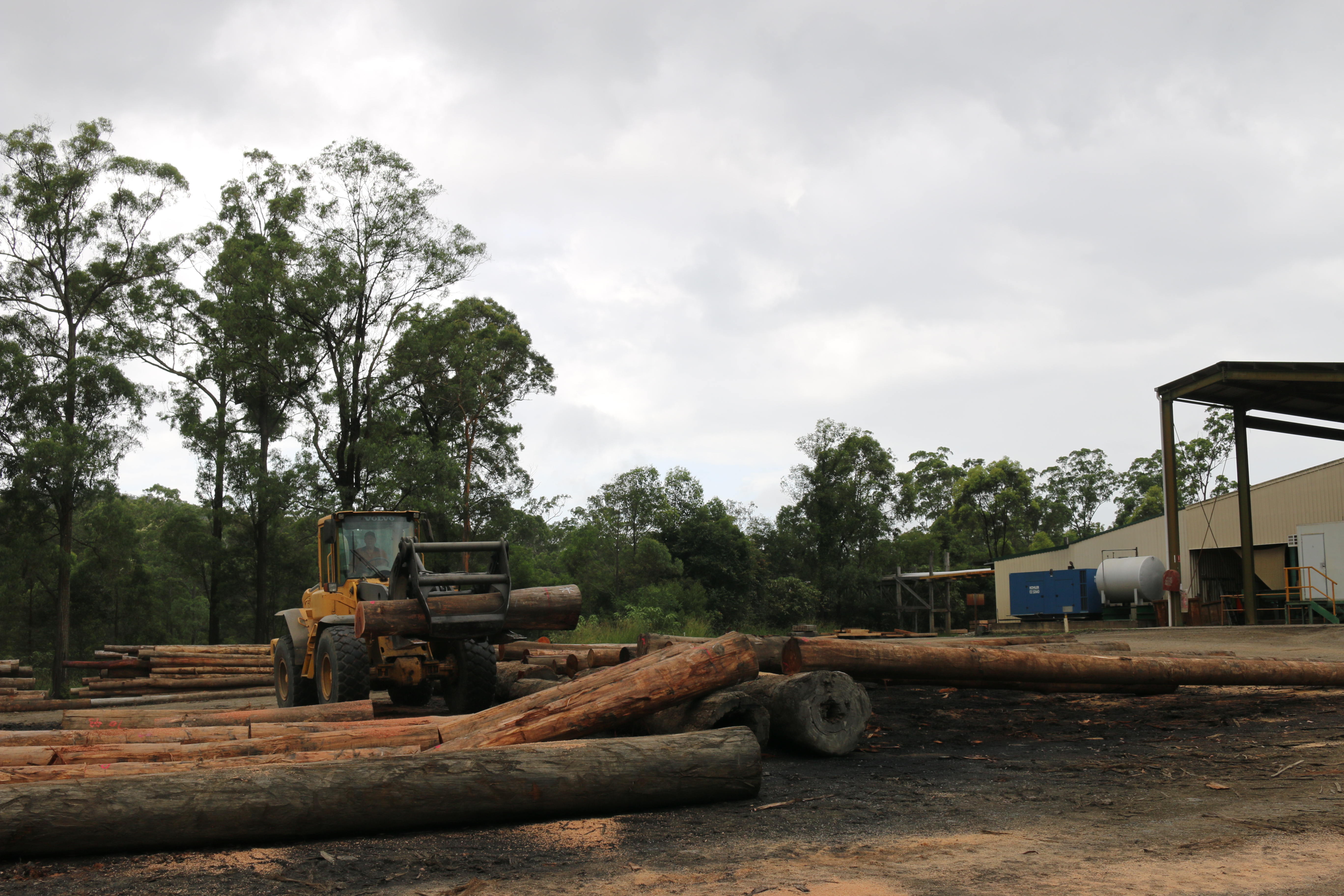 Over 40,000 m3 of hardwood timber is processed each year at Hayden Timbers.