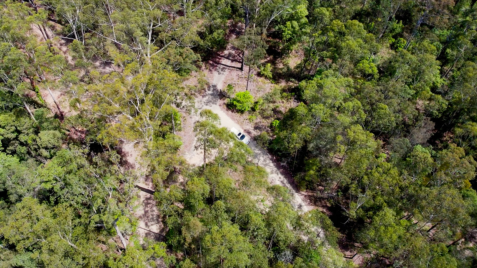 Drone shot of forest and road