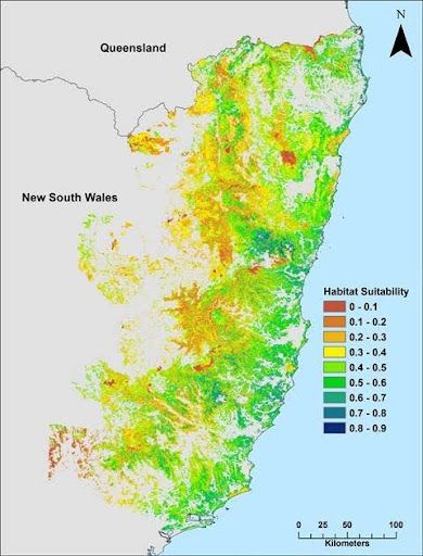 Understanding the Impact of Koala Protection Zones on PNF Operations in New South Wales