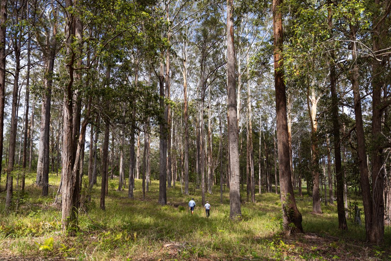 What It’s Really Like to Be a Logging Contractor: Garry’s Story