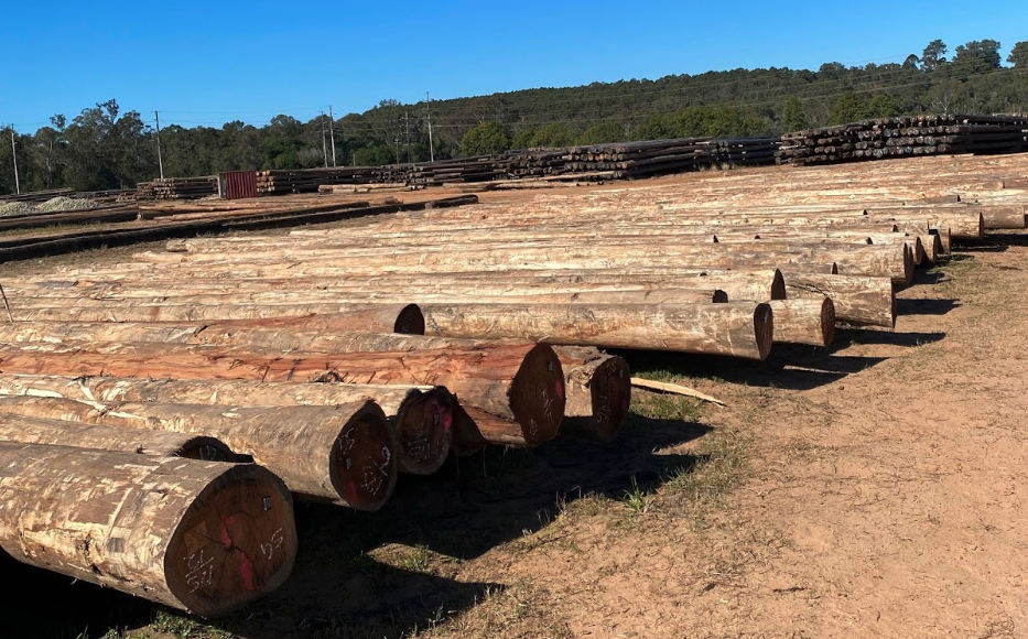 The Life of a Telegraph Pole: From Forest to Footpath 1 Telegraph poles sourced from timber from Northern NSW private native forests