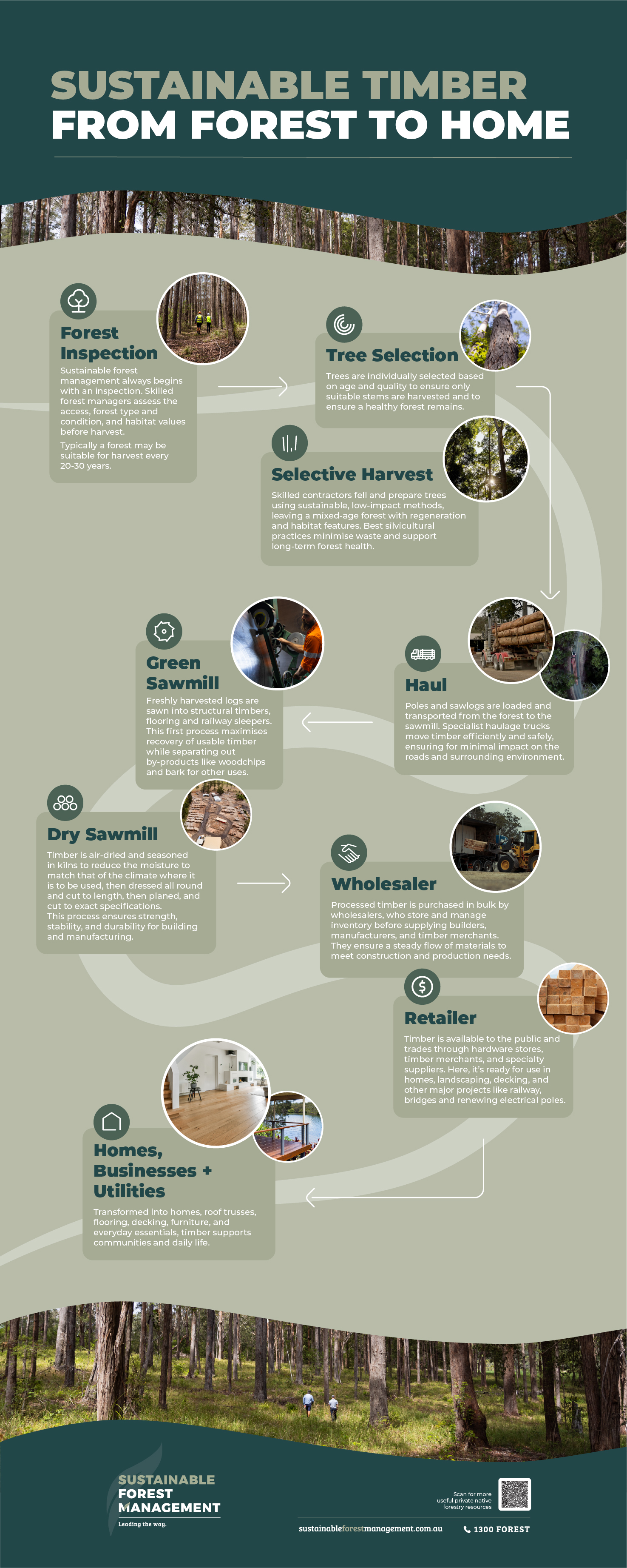 Infographic_Sustainable Timber