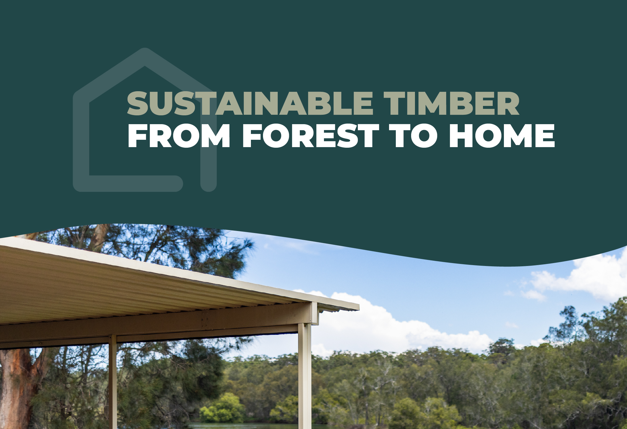 Sustainable Timber_Infographic