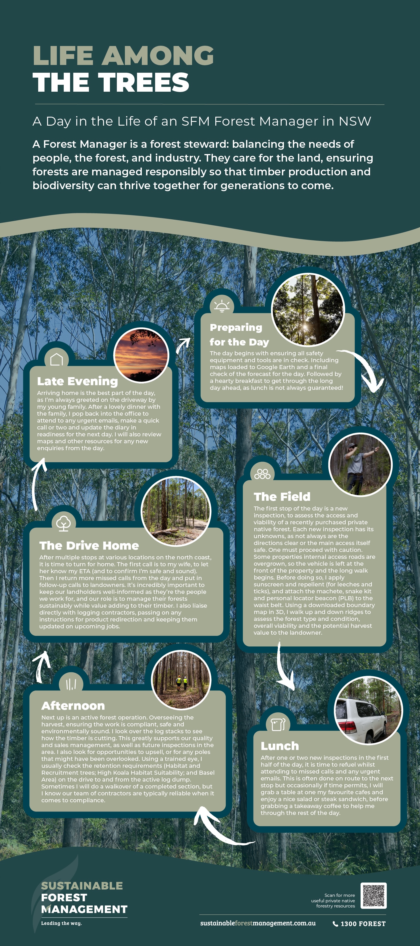 SFM Nov InfographicInfographic Nov 25