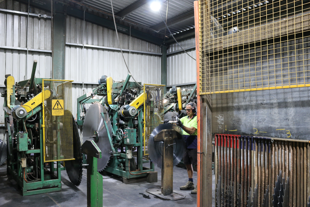 Professional Development