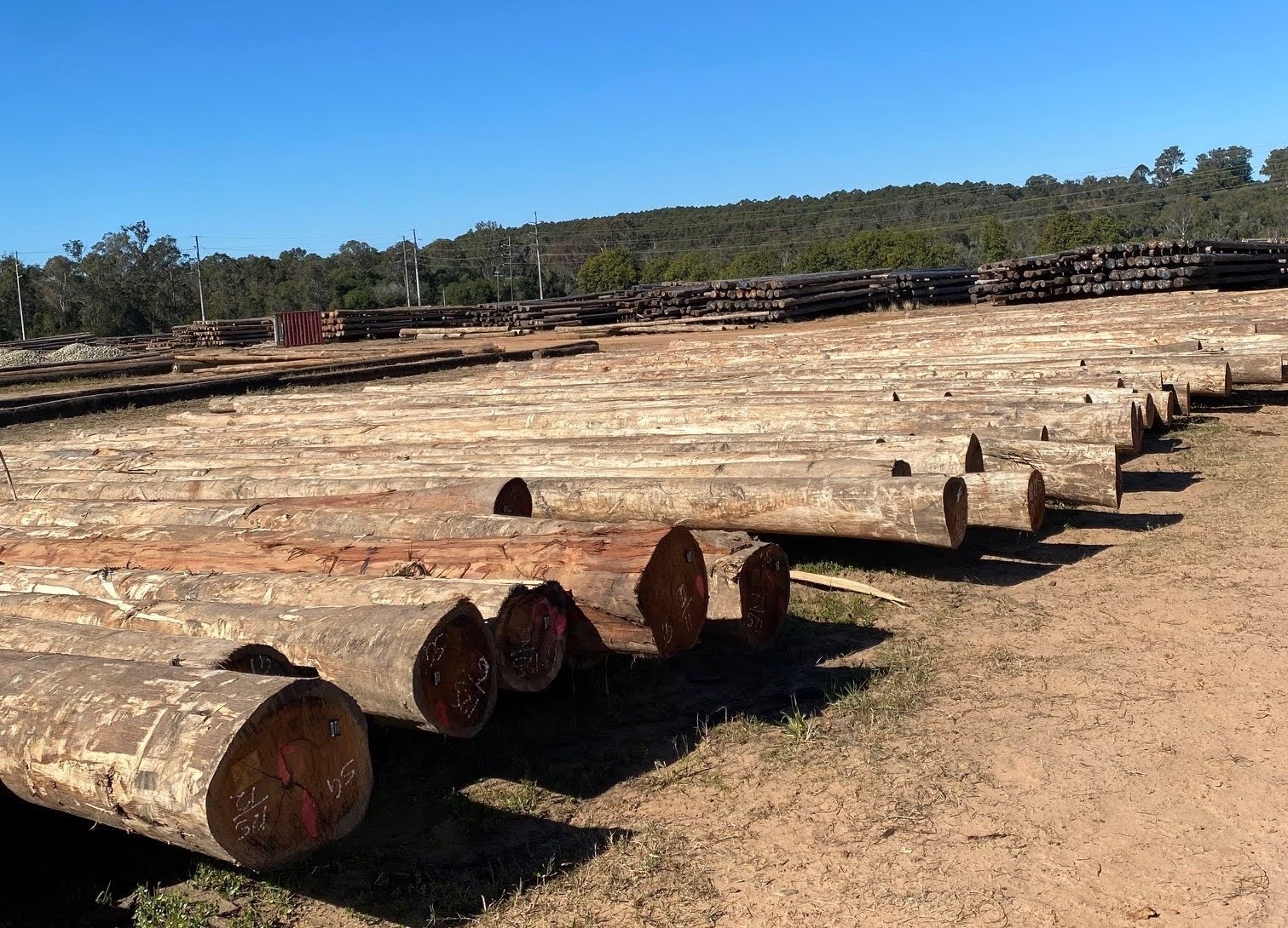 Did you know the Mid North Coast isn’t just a timber region; it’s a power pole powerhouse?