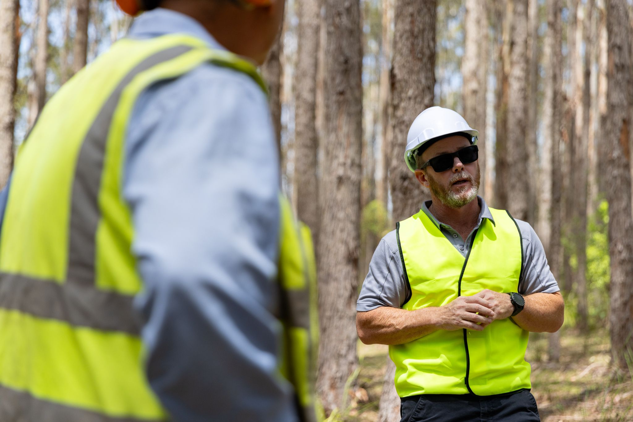 Managing Native Forests Responsibly: Compliance Essentials for NSW Landholders