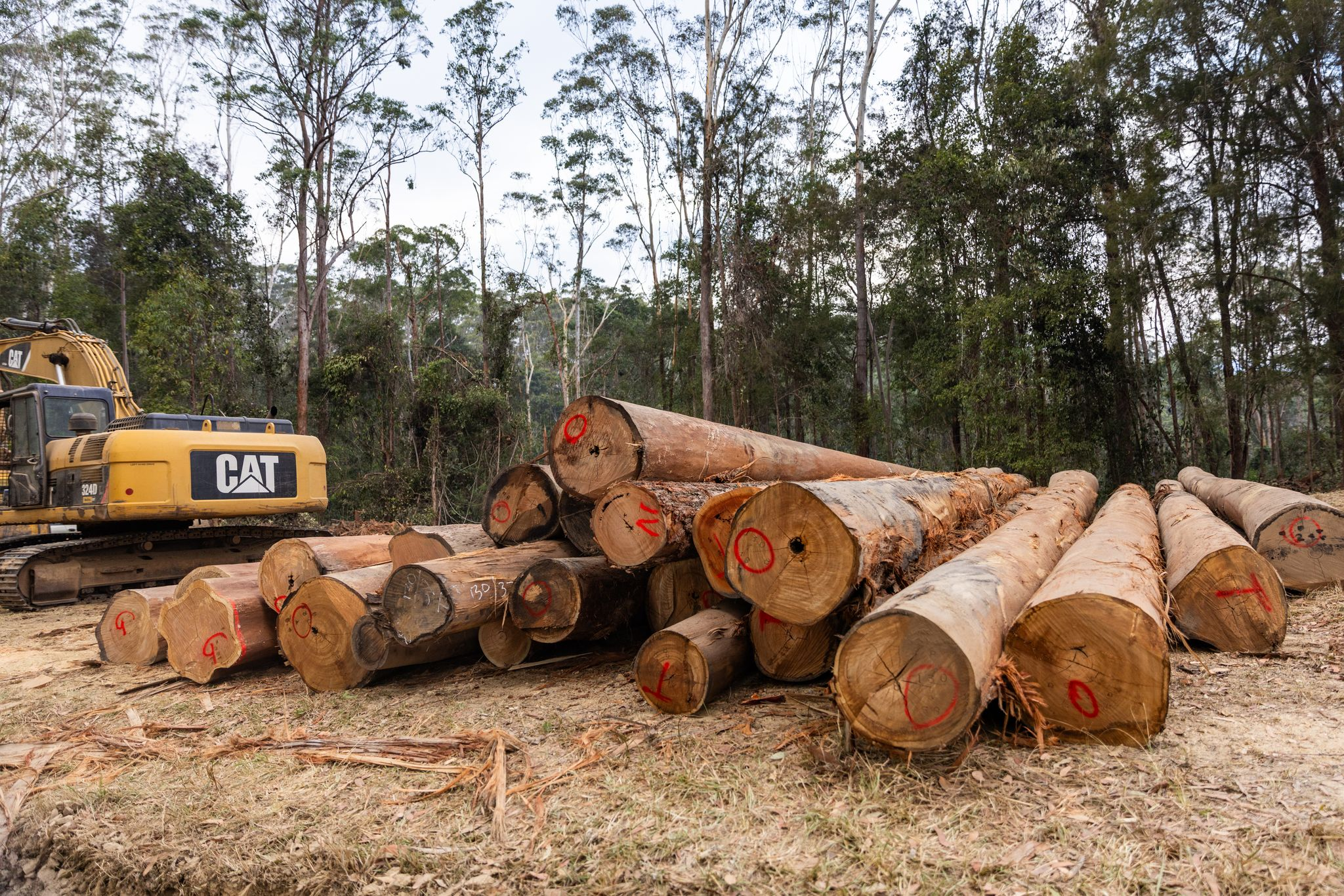 Managing Native Forests Responsibly: Compliance Essentials for NSW Landholders 3 It is important that timber can be traced back to the forest it originated from in order to help eliminate the illegal logging trade in Australia.